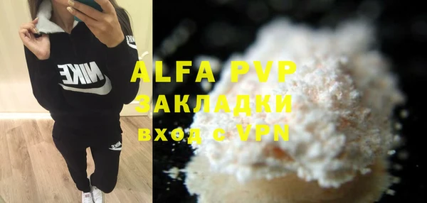 молекула духа Алексеевка