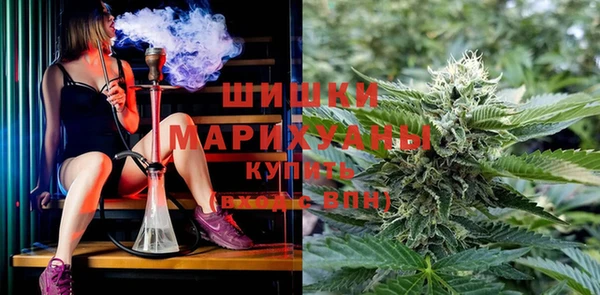 молекула духа Алексеевка