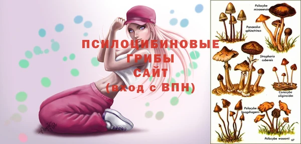 кокаин Алексин